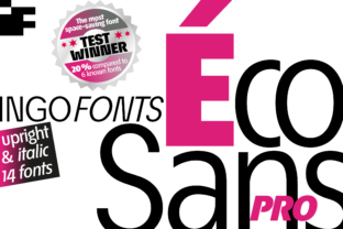 Éco Sans Pro Upright Italic: A Bold Web Typeface Review