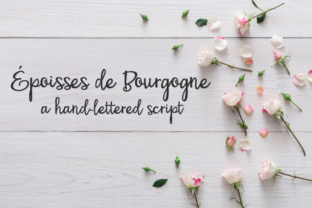 PN Époisses De Bourgogne: A Premium Script Font for Marketers